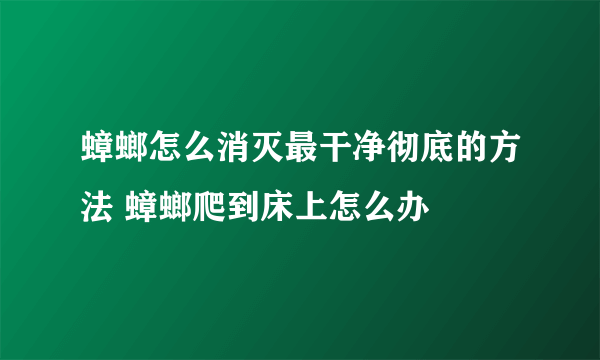 蟑螂怎么消灭最干净彻底的方法 蟑螂爬到床上怎么办