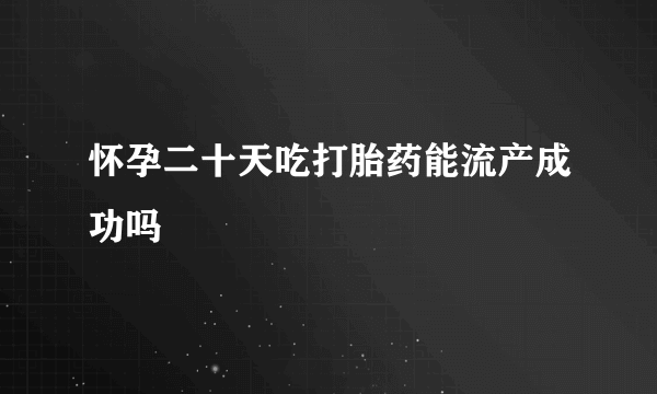 怀孕二十天吃打胎药能流产成功吗