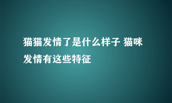 猫猫发情了是什么样子 猫咪发情有这些特征