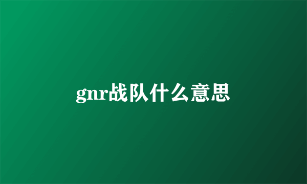 gnr战队什么意思