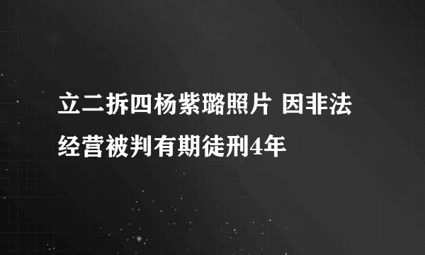 立二拆四杨紫璐照片 因非法经营被判有期徒刑4年