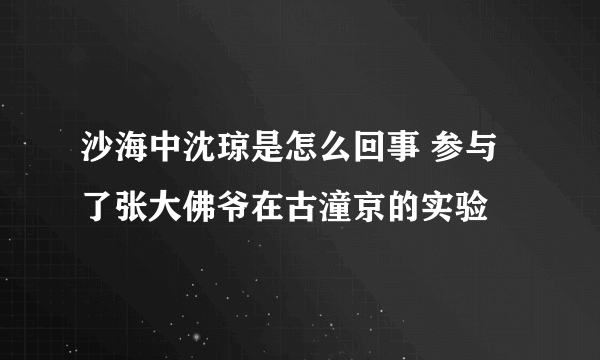 沙海中沈琼是怎么回事 参与了张大佛爷在古潼京的实验