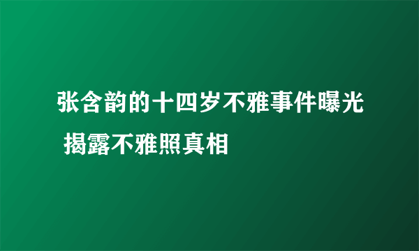 张含韵的十四岁不雅事件曝光 揭露不雅照真相