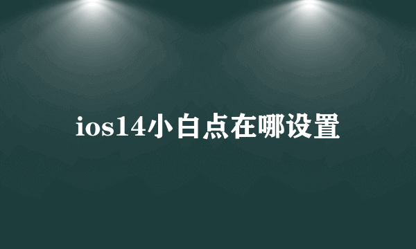 ios14小白点在哪设置