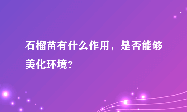 石榴苗有什么作用，是否能够美化环境？