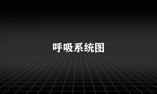 呼吸系统图