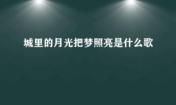 城里的月光把梦照亮是什么歌