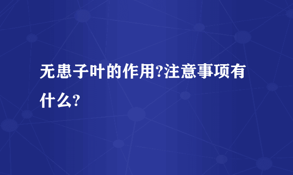 无患子叶的作用?注意事项有什么?