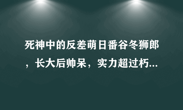 死神中的反差萌日番谷冬狮郎，长大后帅呆，实力超过朽木白哉！