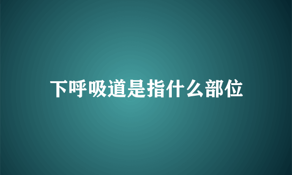 下呼吸道是指什么部位