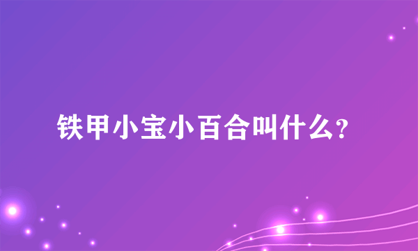 铁甲小宝小百合叫什么？