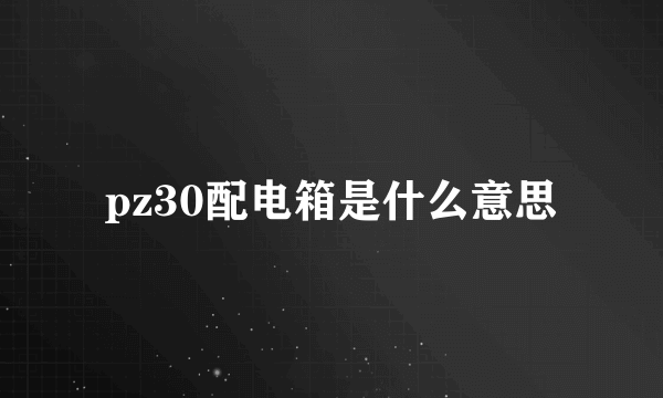 pz30配电箱是什么意思