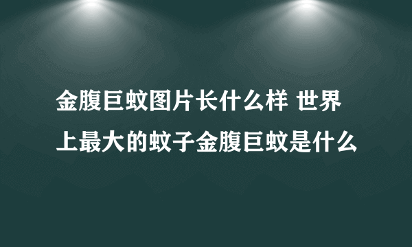 金腹巨蚊图片长什么样 世界上最大的蚊子金腹巨蚊是什么