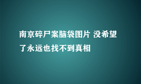 南京碎尸案脑袋图片 没希望了永远也找不到真相