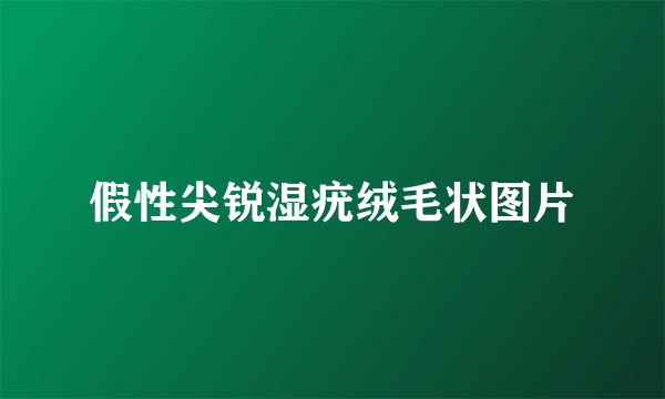 假性尖锐湿疣绒毛状图片