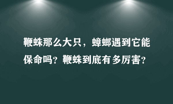 鞭蛛那么大只，蟑螂遇到它能保命吗？鞭蛛到底有多厉害？