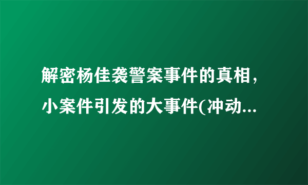 解密杨佳袭警案事件的真相，小案件引发的大事件(冲动是魔鬼)-飞外