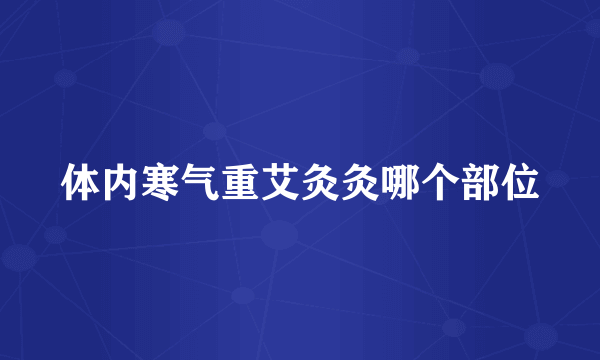 体内寒气重艾灸灸哪个部位