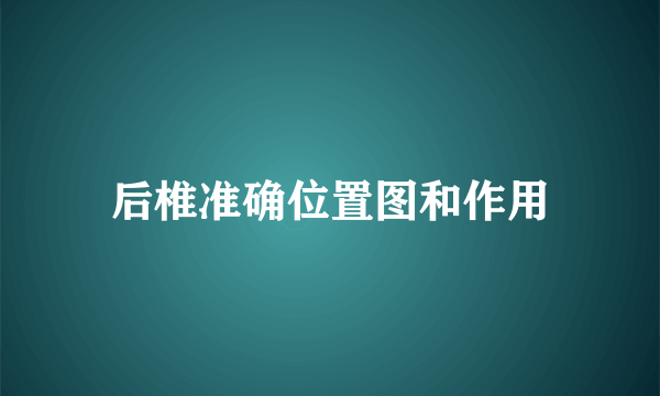 后椎准确位置图和作用