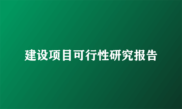 建设项目可行性研究报告