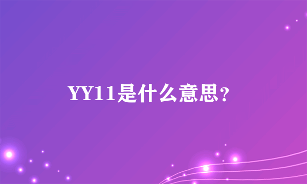 YY11是什么意思？