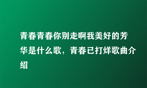 青春青春你别走啊我美好的芳华是什么歌，青春已打烊歌曲介绍