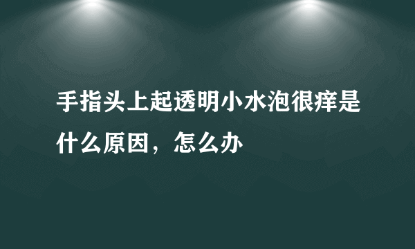 手指头上起透明小水泡很痒是什么原因，怎么办