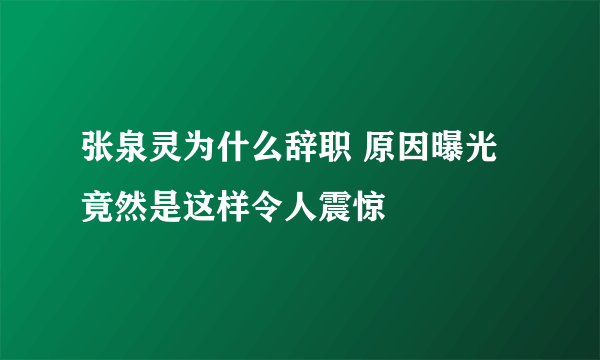 张泉灵为什么辞职 原因曝光竟然是这样令人震惊