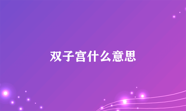 双子宫什么意思