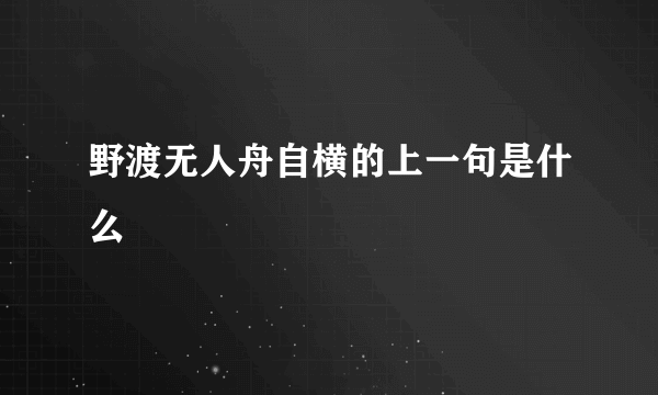 野渡无人舟自横的上一句是什么