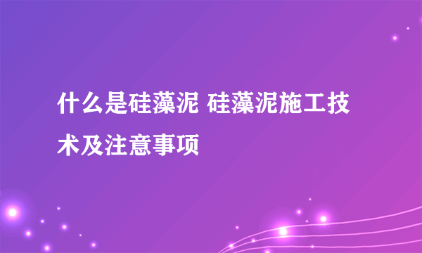 什么是硅藻泥 硅藻泥施工技术及注意事项