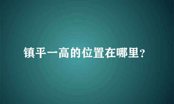 镇平一高的位置在哪里？