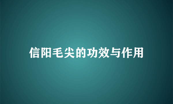 信阳毛尖的功效与作用