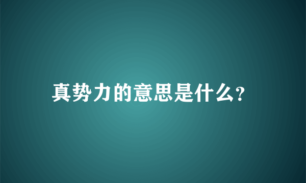 真势力的意思是什么？