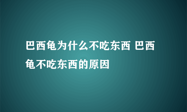 巴西龟为什么不吃东西 巴西龟不吃东西的原因