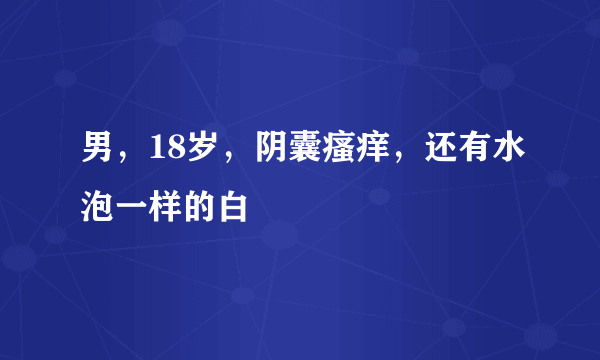 男，18岁，阴囊瘙痒，还有水泡一样的白