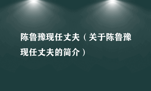 陈鲁豫现任丈夫（关于陈鲁豫现任丈夫的简介）