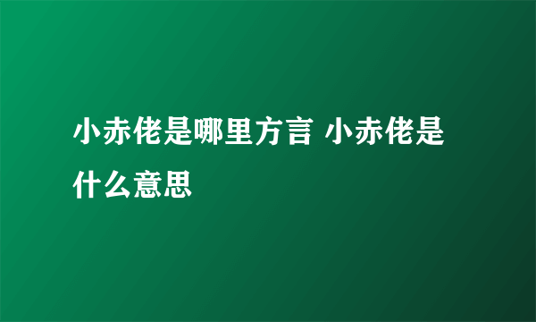 小赤佬是哪里方言 小赤佬是什么意思