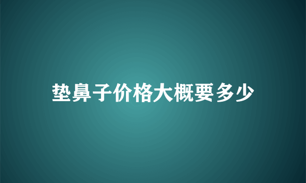 垫鼻子价格大概要多少