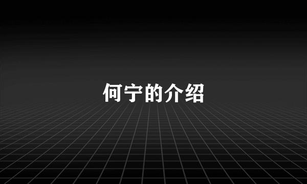 何宁的介绍