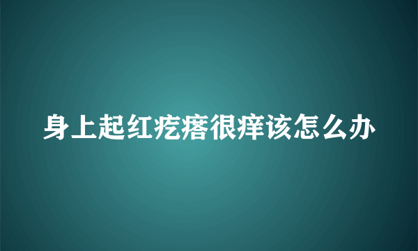 身上起红疙瘩很痒该怎么办