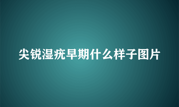 尖锐湿疣早期什么样子图片