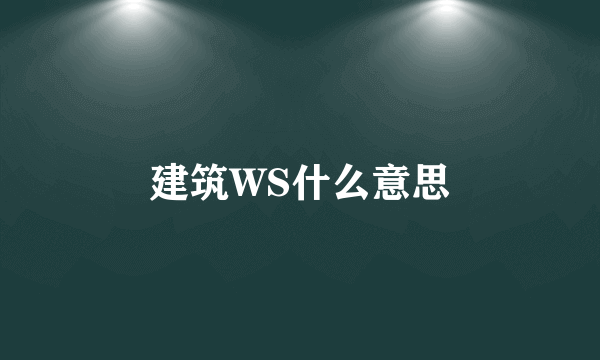 建筑WS什么意思