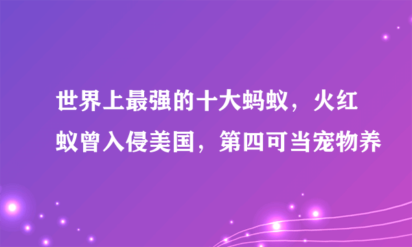 世界上最强的十大蚂蚁，火红蚁曾入侵美国，第四可当宠物养