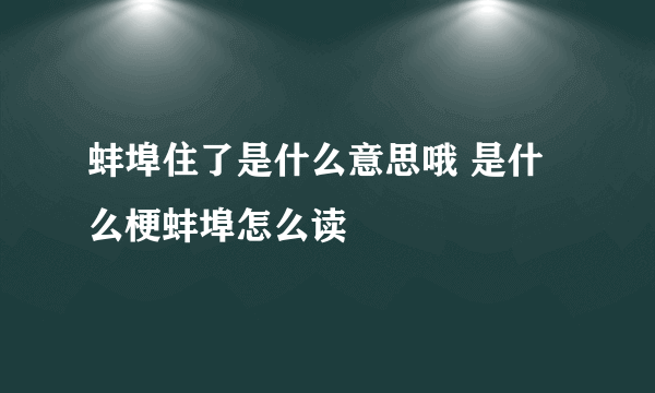 蚌埠住了是什么意思哦 是什么梗蚌埠怎么读