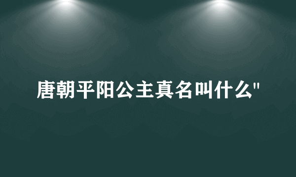 唐朝平阳公主真名叫什么