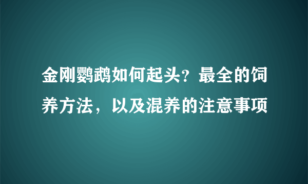 金刚鹦鹉如何起头？最全的饲养方法，以及混养的注意事项