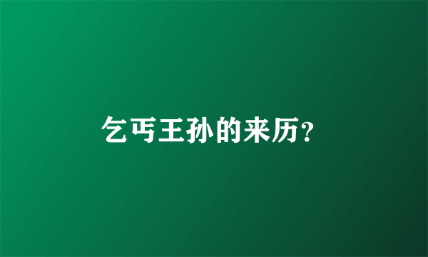 乞丐王孙的来历？