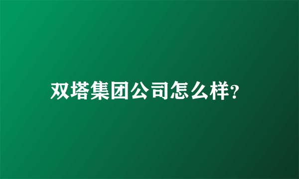 双塔集团公司怎么样？