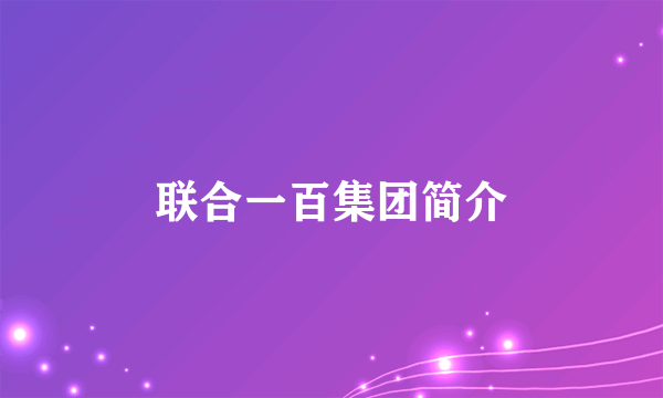 联合一百集团简介